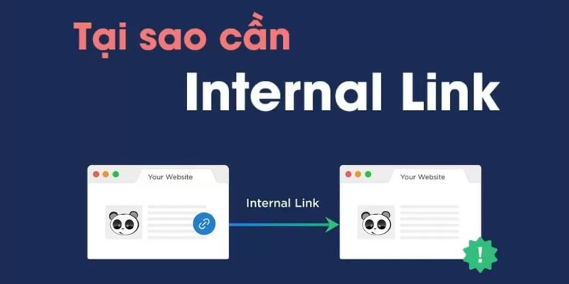 Internal Link là một trong những yếu tố quan trọng nhất trong SEO