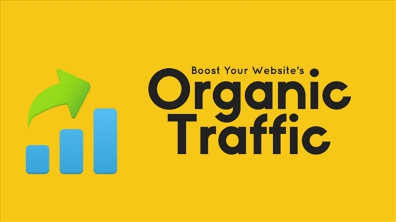 Organic Traffic là mục tiêu hàng đầu trong chiến lược SEO