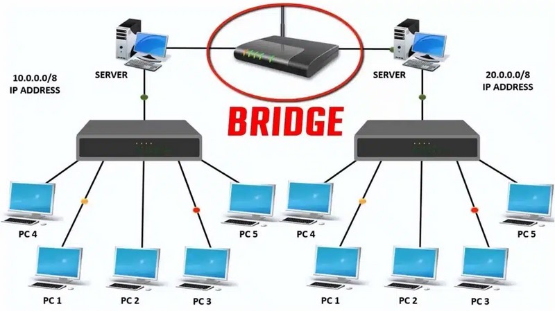 Bridge có nhiều công dụng thiết thực trong đời sống và xây dựng