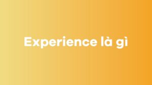 Experience là gì?