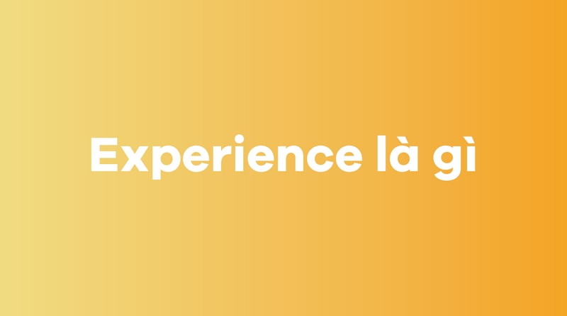 Experience là gì?