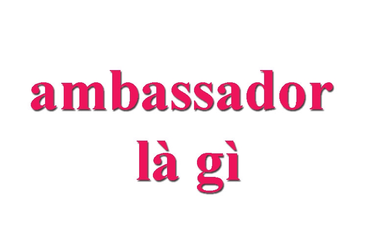 Ambassador là gì?