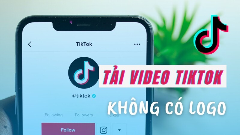 Cách tải video TikTok không logo là gì?