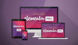 Elementor là một plugin page builder dành riêng cho WordPress