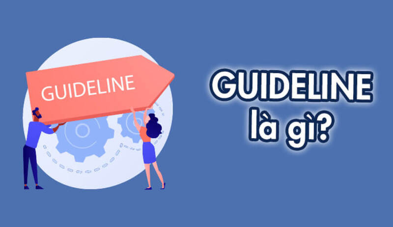 Guideline là tập hợp các nguyên tắc, quy định và hướng dẫn