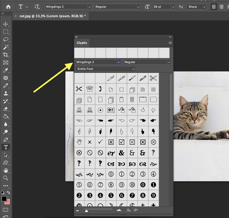 Cách chèn ký tự đặc biệt trong Photoshop