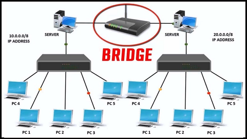 Bridge có nhiều công dụng thiết thực trong đời sống và xây dựng