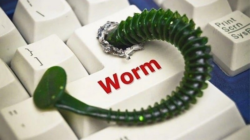 Worm là gì